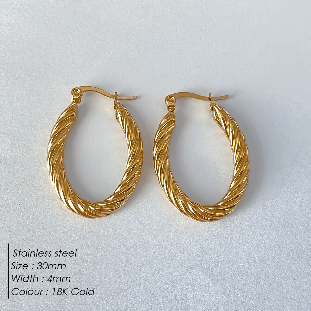 Twist Hoop Earrings