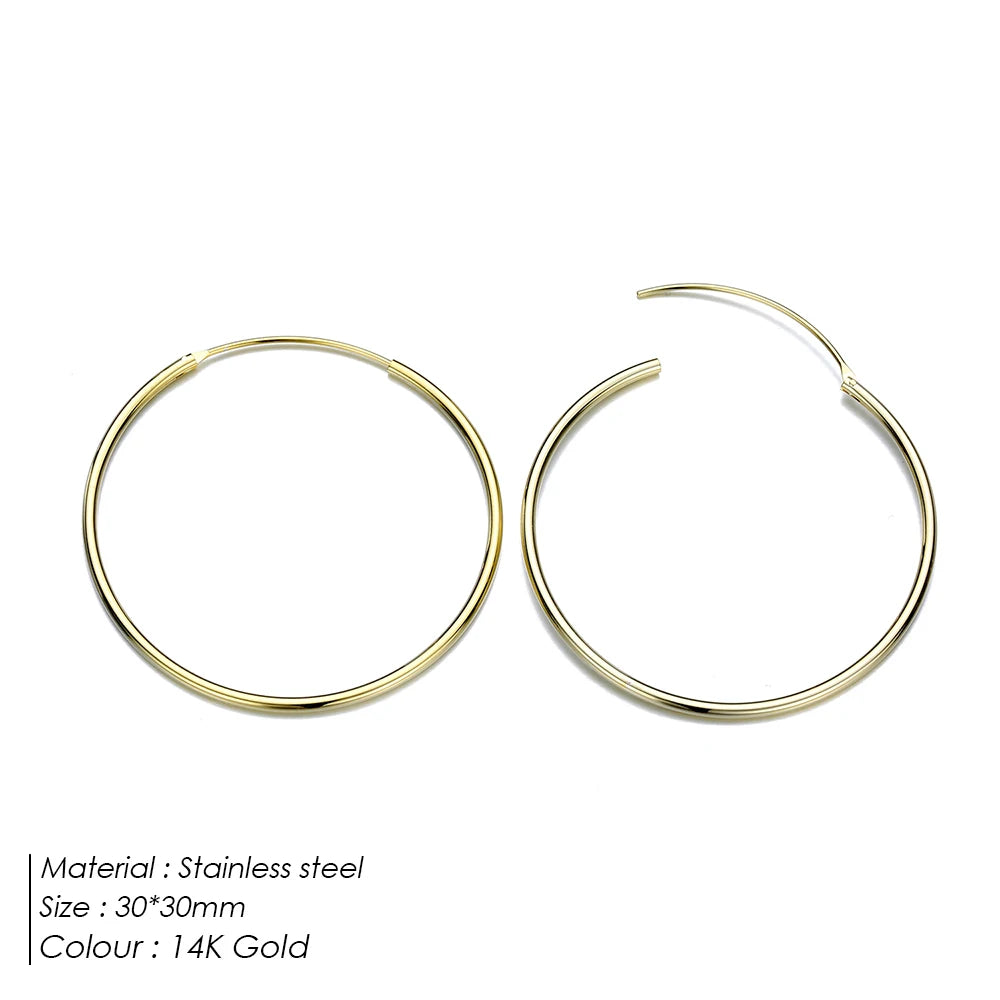 Classic Loop Earrings