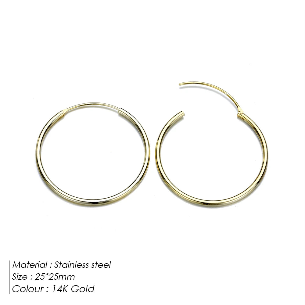 Classic Loop Earrings