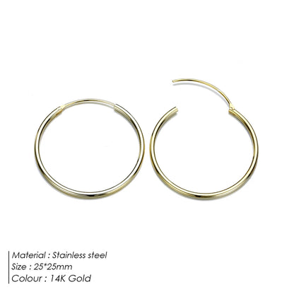 Classic Loop Earrings