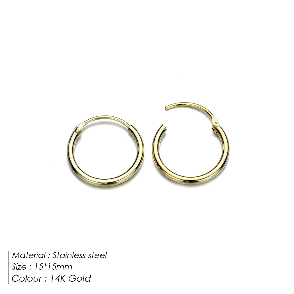 Classic Loop Earrings