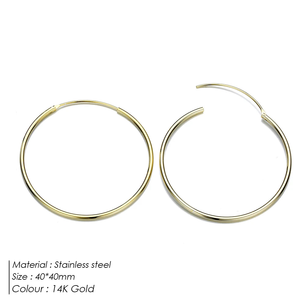 Classic Loop Earrings