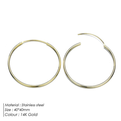 Classic Loop Earrings