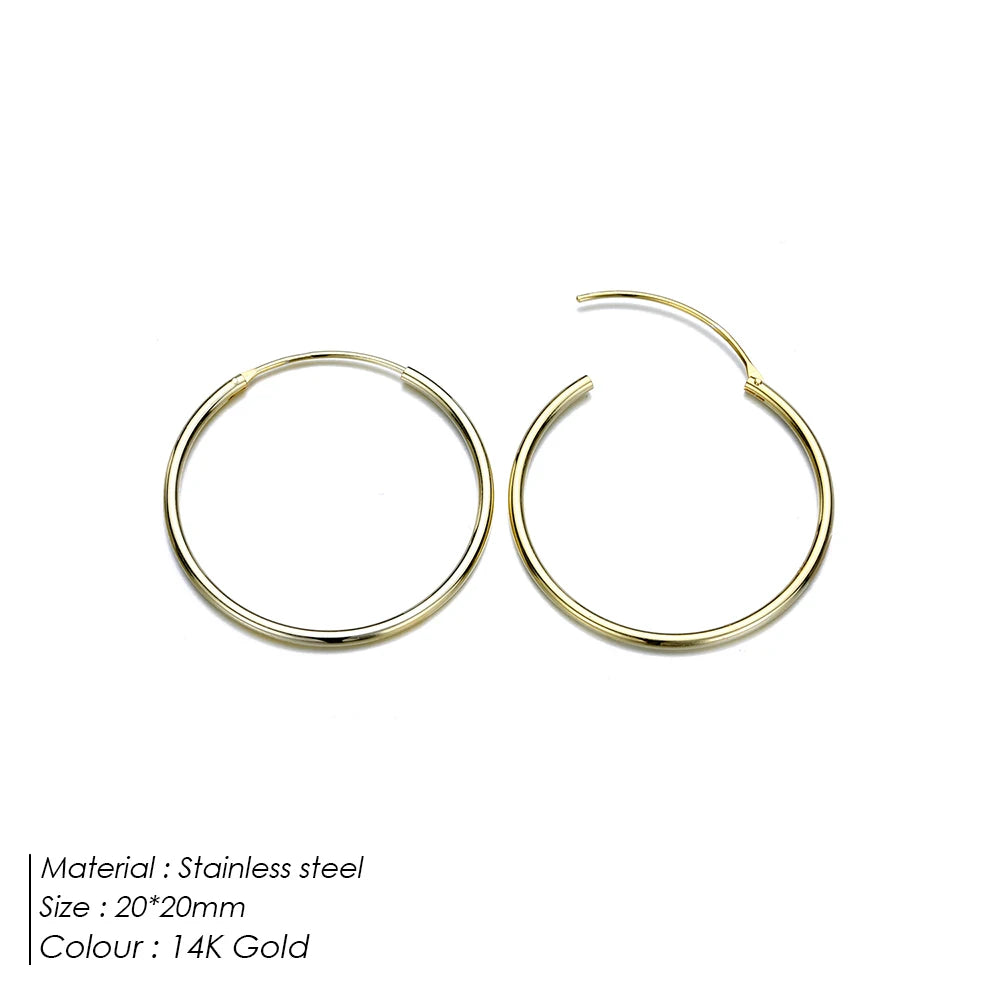 Classic Loop Earrings