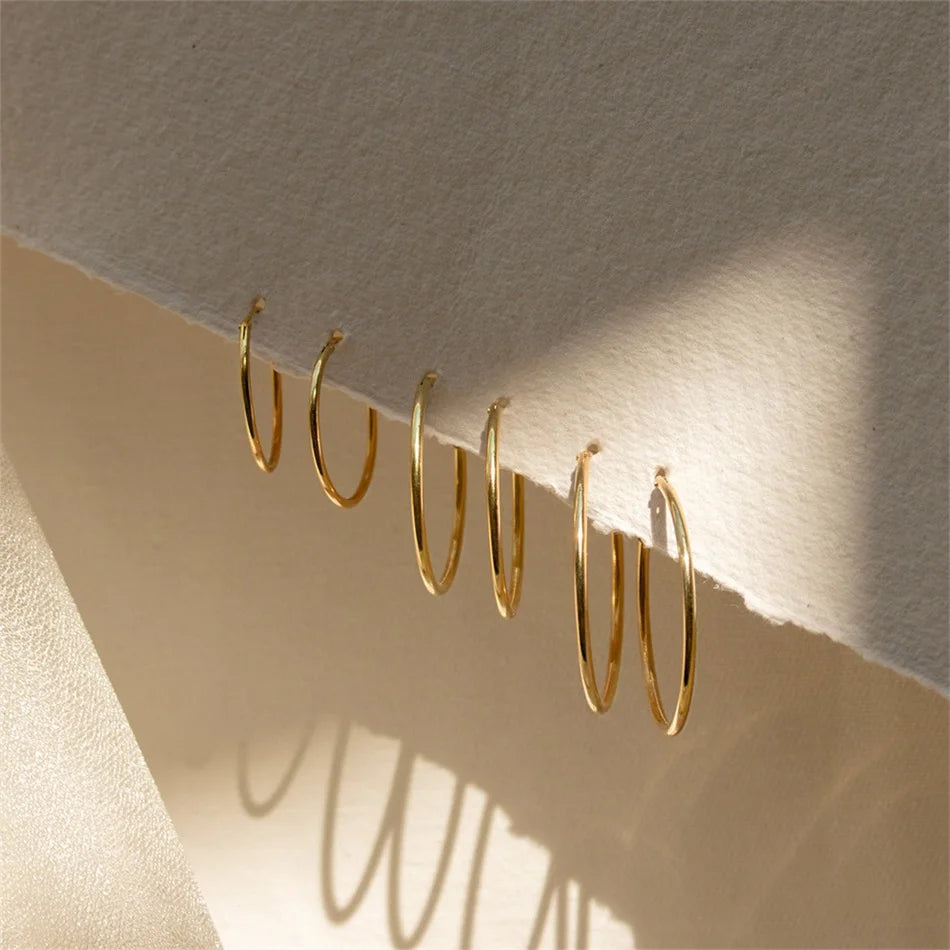 Classic Loop Earrings