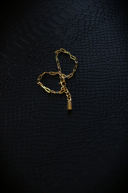 Clipped Bracelet
