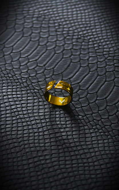 Designer Polished Ring