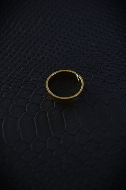 Minimal Ring
